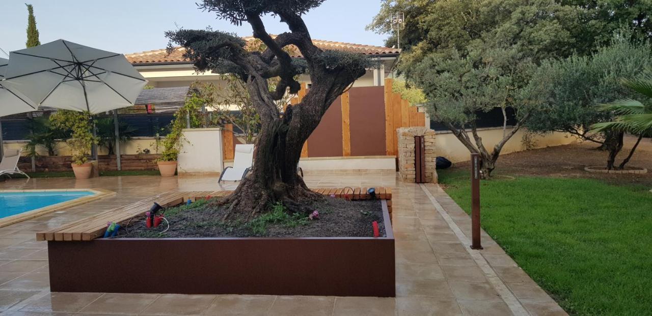 Les Gites De L'Arbousier Quissac  Εξωτερικό φωτογραφία