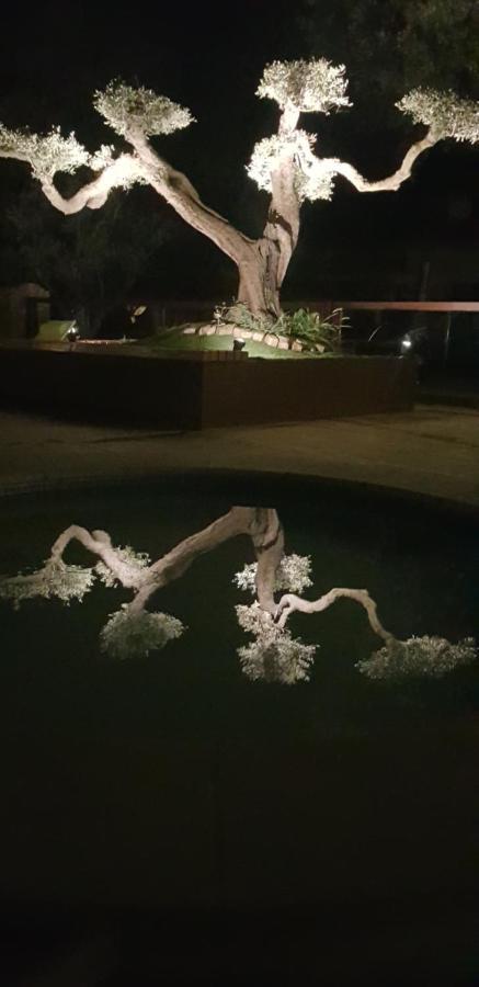 Les Gites De L'Arbousier Quissac  Εξωτερικό φωτογραφία